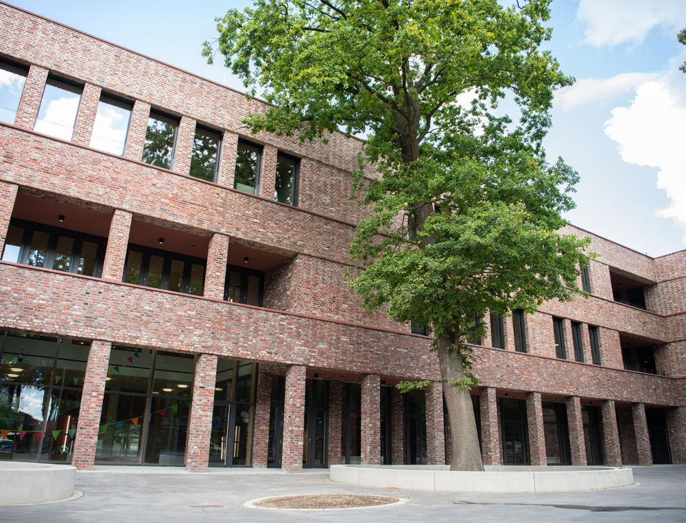 Baum vor Grundschule